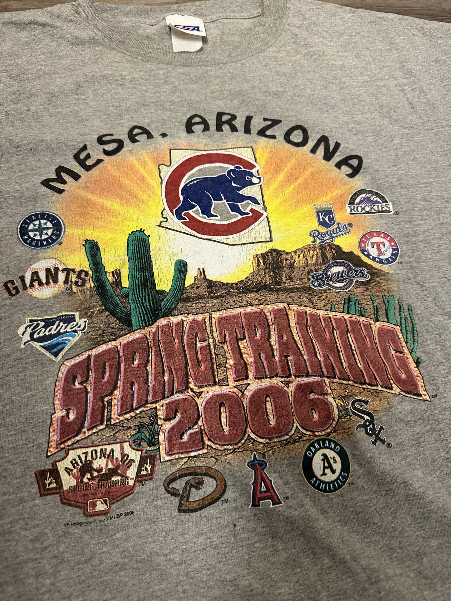 2006 Cubs MLB Training Tee Size 3XL