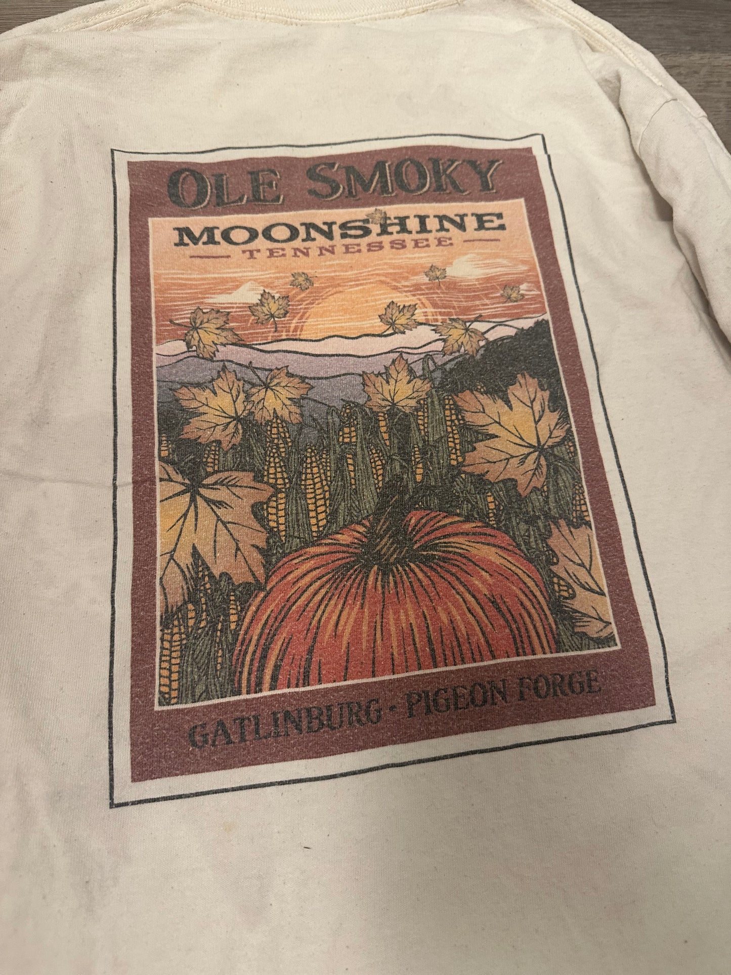 Tennessee Moonshine Fall Long sleeve Size M (stains)
