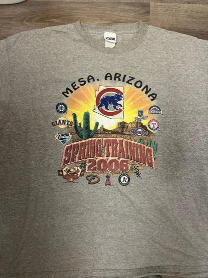 2006 Cubs MLB Training Tee Size 3XL