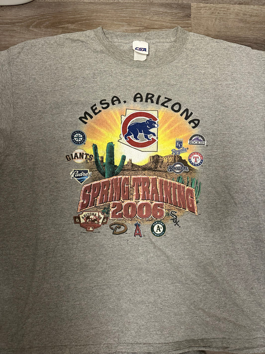 2006 Cubs MLB Training Tee Size 3XL